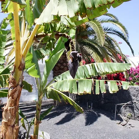 Willa Alisios Playa Blanca (Lanzarote)